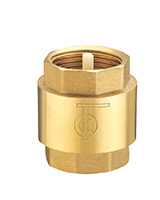 Female BSP all position axial type check valve