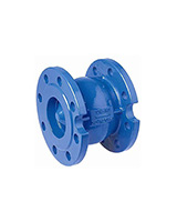 All mounting position flanged check valve