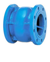 Flanged type axial check valve PN10