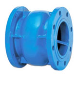 Flanged pn16 axial check valve ductile iron body