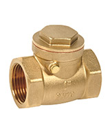 Female BSP brass swing check valve