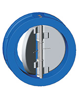 ACS dual plate check valve