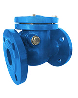 Flanged check valve ductile iron body