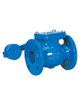 Flanged check valve with counterweight ductile iron body