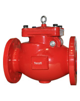 Clapet anti-retour à brides