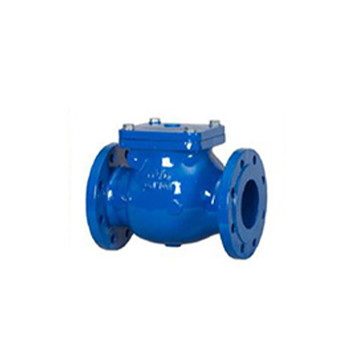 Flanged PN25 swing check valve