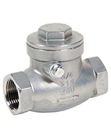 Female BSP Stainless steel swing check valve