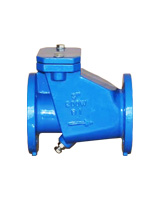 Flanged swing check valve ductile iron body