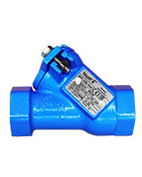 Female BSP ball check valve