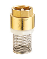 Female BSP all position foot type check valve