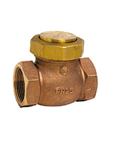 Femelle BSP union cap lift check valve – PTFE sealing