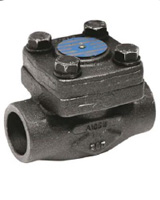 Lift bolted bonnet check valve with spring TRIM 8 – 800 Lbs – BSP