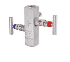 NPT 2-way manifold – M/F