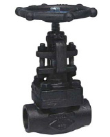 Bolted bonnet globe valve TRIM 12 – 1500 Lbs – NPT