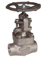 Stainless steel bolted bonnet globe valve TRIM 10 – 800 Lbs – NPT