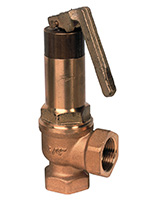 Soupape de sécurité à échappement canalisé femelle BSP avec levier de décharge