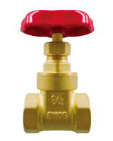 Female BSP brass gate valve PN16