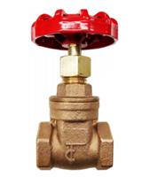 Female BSP bronze gate valve PN20