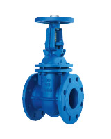 Rising stem gate valve PN16