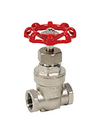 Female BSP Stainless steel gate valve PN16