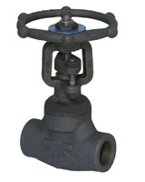 Welded bonnet gate valve TRIM 5 – 800 Lbs -NPT