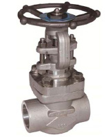 Stainless steel bolted bonnet gate valve TRIM 10 – 800 Lbs – NPT