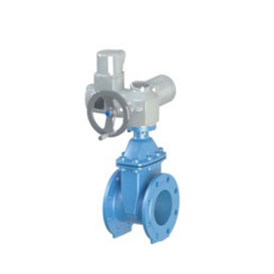 F4 Resilient seat gate valve with square cap