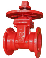 Resilient seated NRS type mechanical joints ends