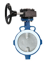 Wafer type butterfly valve – Stainless steel disc – PTFE sleeve – manual gearbox