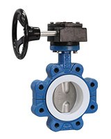 Lug type butterfly valve – Stainless steel disc – PTFE sleeve – manual gearbox