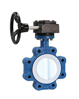 Lug type butterfly valve – PTFE sleeve and disc – manual gearbox
