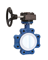 Butterfly valve Tecflon ductile iron body with gear box- lug pn16