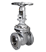 Casted gate valves