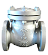 Casted check valves and strainers